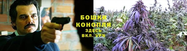 мет Новозыбков