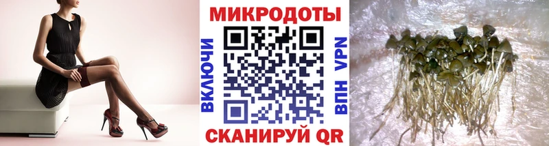 даркнет сайт  Бодайбо  Псилоцибиновые грибы Psilocybe 