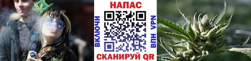 Каннабис планчик  продажа наркотиков  Бодайбо 